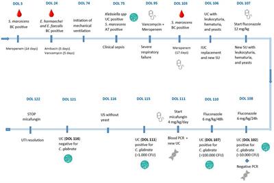 Case Report: Micafungin for treating Candida glabrata urinary infection: a clinical case in a premature neonate